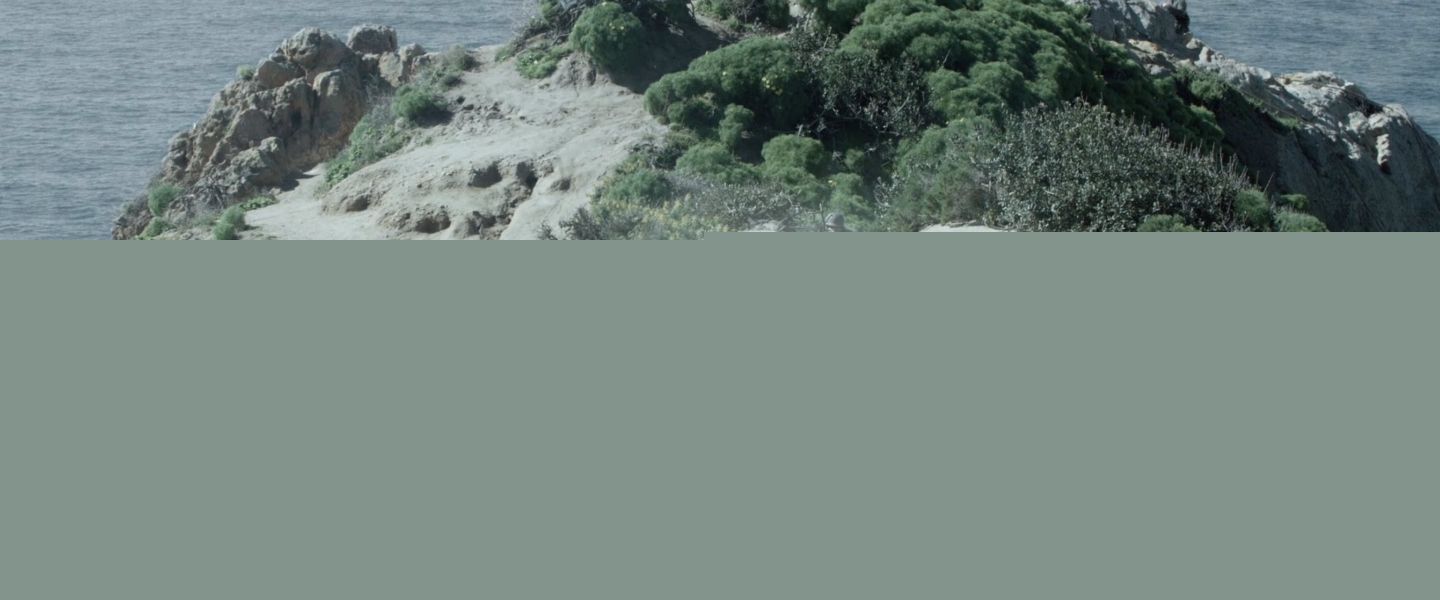 Trailer de D-Day