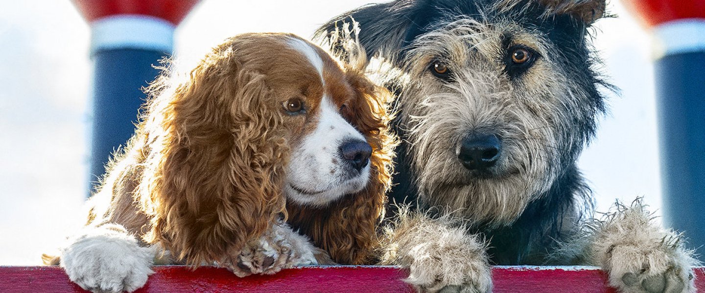 Trailer de Lady and the Tramp