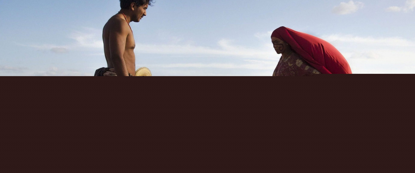 Trailer de Pájaros de verano