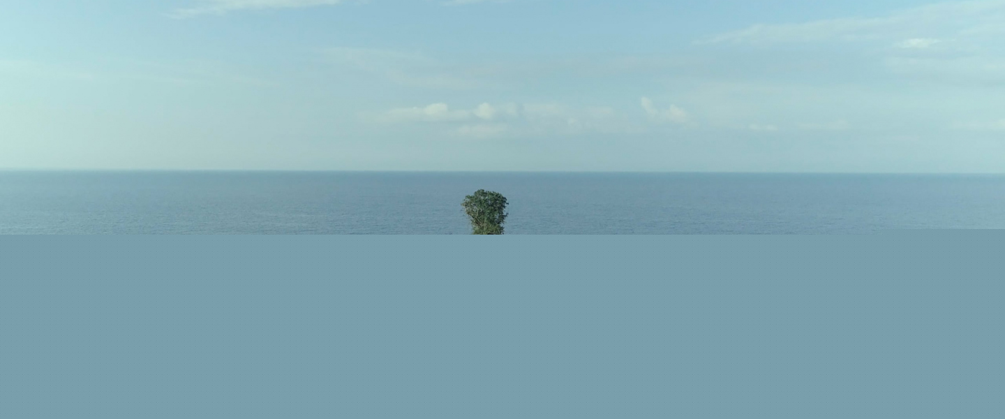Trailer de Taming the Garden