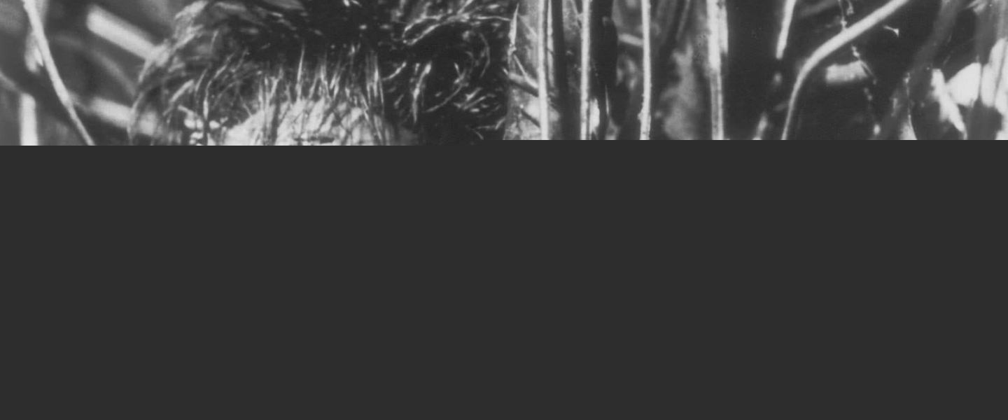 Trailer de Tetsuo
