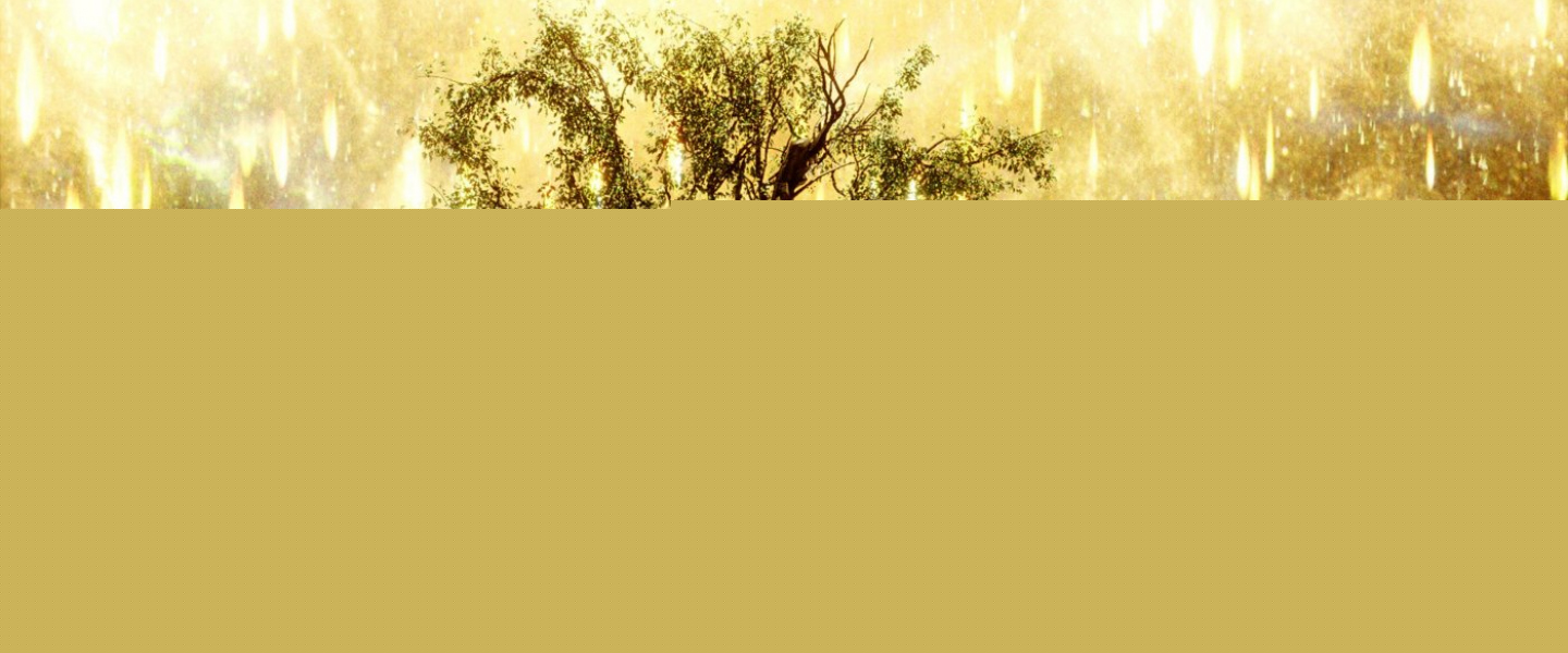 Trailer de The Fountain