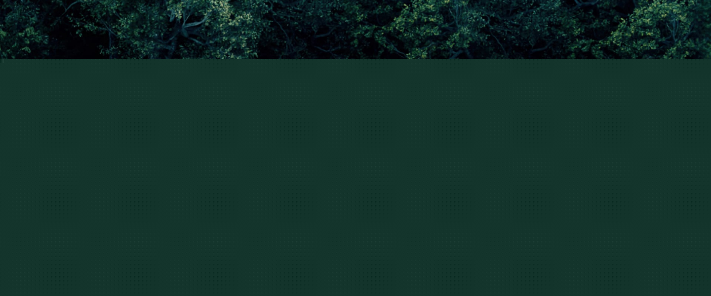 Trailer de The Society