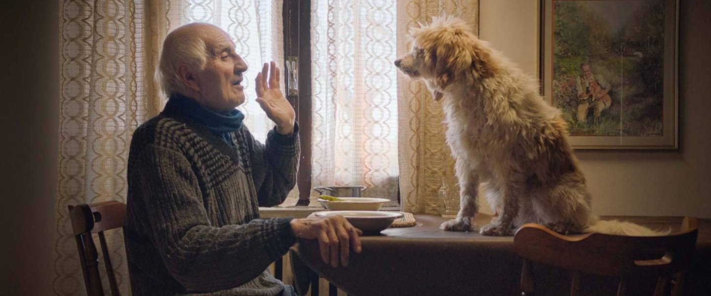 Trailer de The Truffle Hunters
