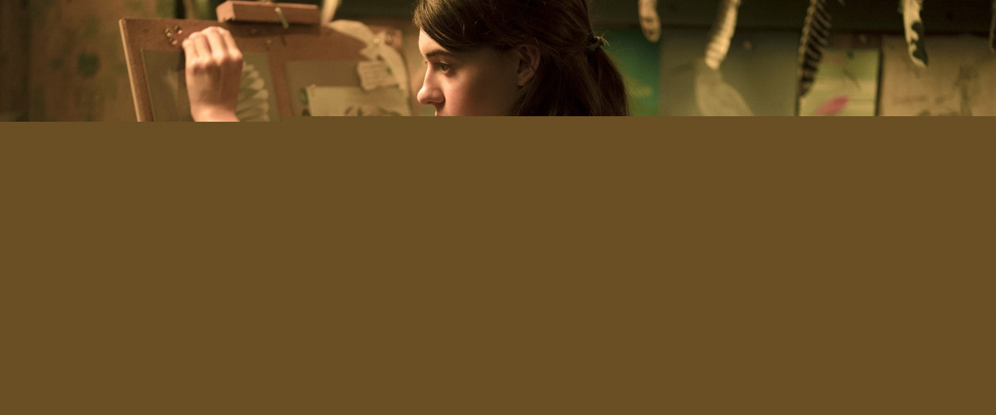 Trailer de Where the Crawdads Sing
