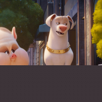DC League of Super-Pets