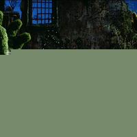 Edward Scissorhands