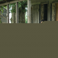 12 Years a Slave