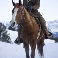 Django Unchained