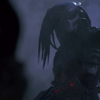 Predator