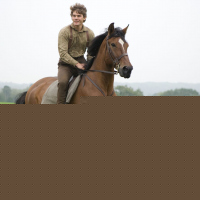 War Horse
