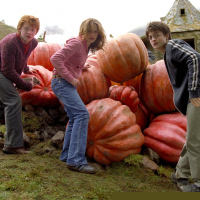 Harry Potter and the Prisoner of Azkaban