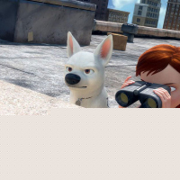 Bolt