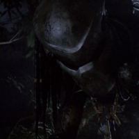 Predator