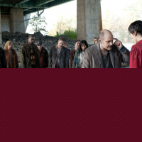 Warm Bodies