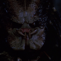 Predator
