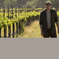 Star Trek: Picard