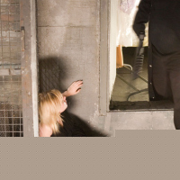 Captivity