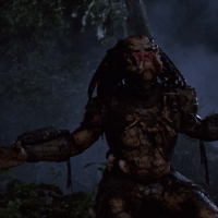 Predator