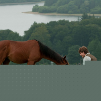 War Horse