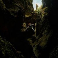 Apex