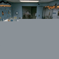 Halloween II