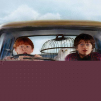 Harry Potter and the Chamber of Secrets