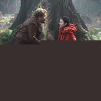 Into the Woods