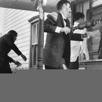 Night of the Living Dead
