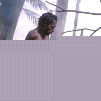 Predator