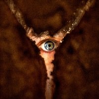 Return to Silent Hill