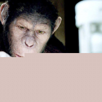 Rise of the Planet of the Apes