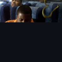 Snakes on a Plane