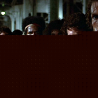 The Warriors