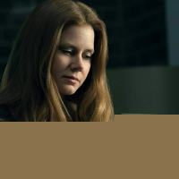 The Woman in the Window