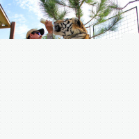 Tiger King: Murder, Mayhem and Madness