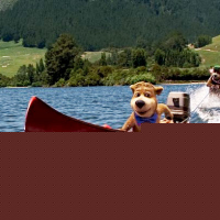 Yogi Bear