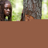 The Walking Dead