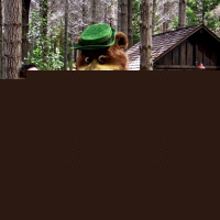Yogi Bear