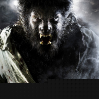 The Wolfman