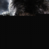 The Wolfman