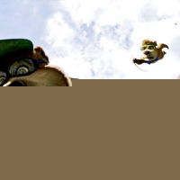 Yogi Bear