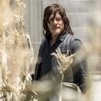 The Walking Dead