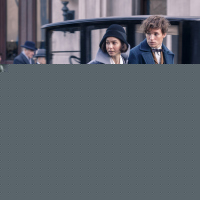 Fantastic Beasts and Where to Find Them