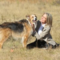 Darling Companion