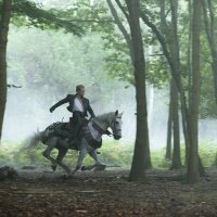 Into the Woods