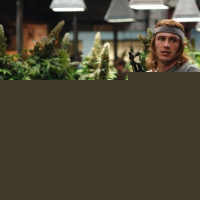 Pineapple Express