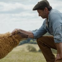 The Sheep Detectives