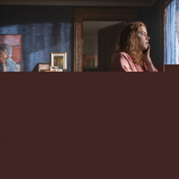 The Woman in the Window