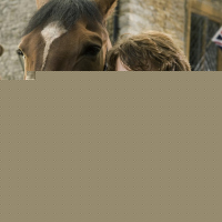 War Horse